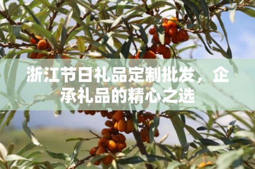 浙江节日礼品定制批发，企承礼品的精心之选