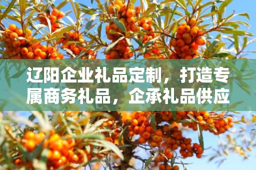 辽阳企业礼品定制，打造专属商务礼品，企承礼品供应链助力企业发展